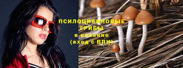 молекула духа Бутурлиновка