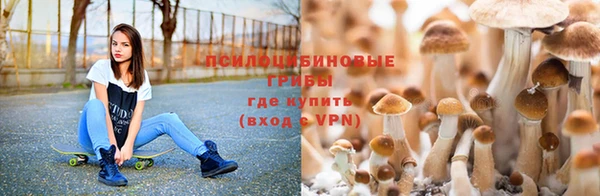 гашишное масло Аркадак