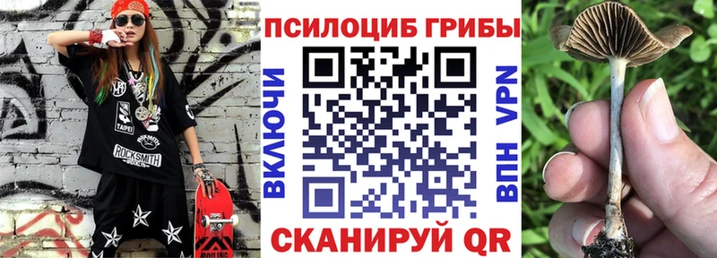 Галлюциногенные грибы мицелий  где продают   Канаш 